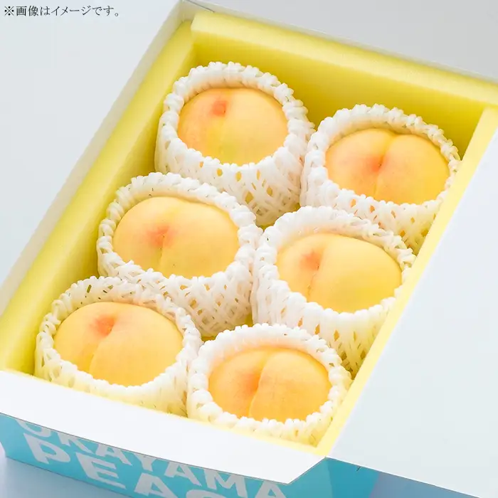 ご家庭用 白桃(晩生種) 5～6玉（約1.5kg）【27年8月上旬以降に順次発送】