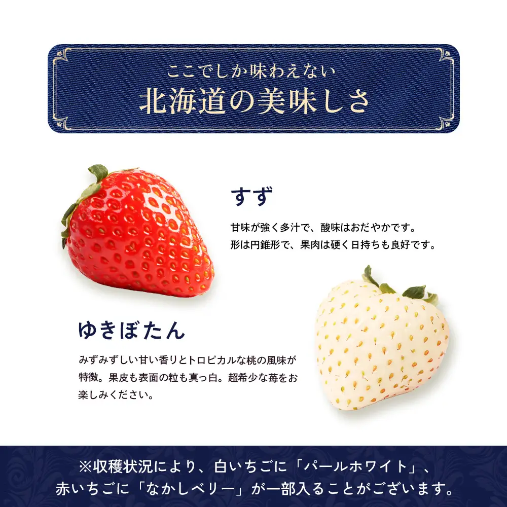 【2027年１月以降発送！】【北海道産】ゆきいちご（ゆきぼたん/すず）白×MIX 2Pセット 各250g×2 計500g 苺 白いちご 一季成りイチゴ 希少 ギフト お取り寄せ ふるさと納税 北海道 中標津町【5900202】
