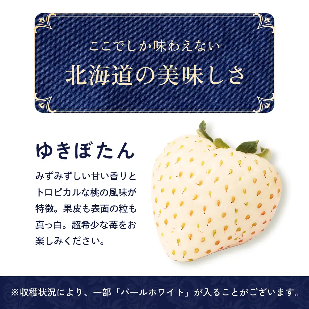 【2027年１月以降発送！】【北海道産】ゆきいちご（白いちご） 2Pセット 250g×2 計500g 苺 イチゴ 白いちご 一季成りイチゴ ゆきぼたん パールホワイト 希少 高級 ギフト お取り寄せ ふるさと納税 北海道 中標津【59001】