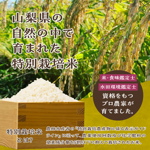 【令和8年度新米】こぴっと米【五百川】10kg 1等特別栽培米100％ [h020]