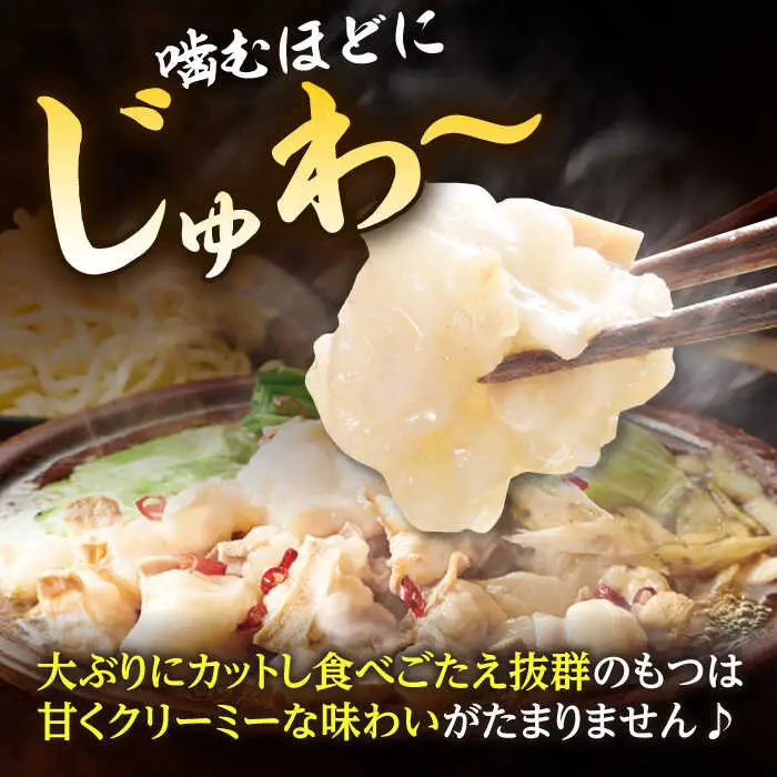 もつ鍋 あごだし醤油味（5-6人前）もつ鍋 ADAN018