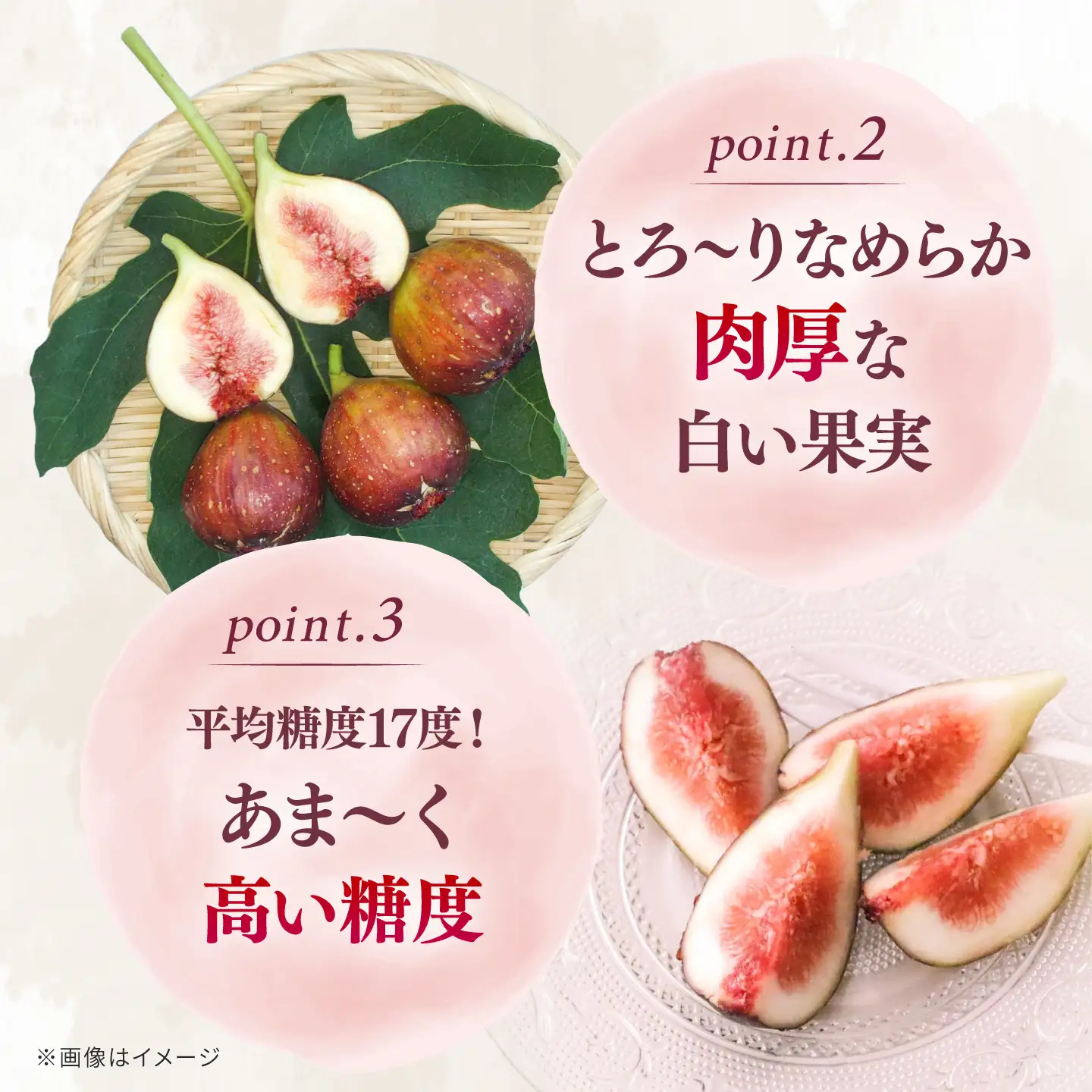 いちじく とよみつひめ 秀品 1.2kg [ADAY001] いちじく