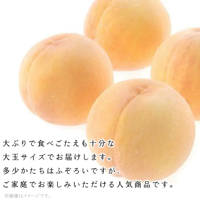 【ご家庭用】おかやまの「黄金桃」 大玉3玉（約900g）【27年8月下旬以降に順次発送】