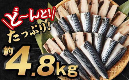 【訳あり規格外】  業務用 無添加 塩さば どーんと! 4.8kg 鯖 さば 塩サバ 干物 魚