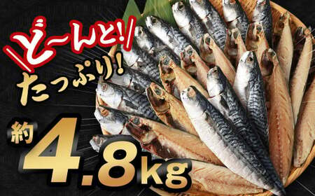 【訳あり規格外】  業務用 無添加 さば文化干し どーんと! 4.8kg 鯖 さば 干物 魚