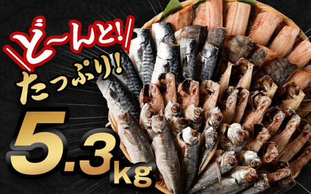 【訳あり規格外】  業務用 干物 詰め合わせ どーんと！ 5.3kg 3種 セット さば サバ 鯖 縞ほっけ ほっけ ホッケ あじ アジ 鯵 魚