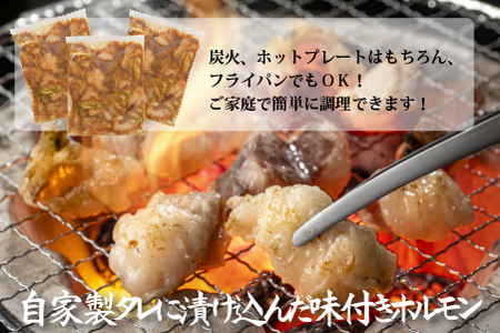 宮崎県産黒毛和牛濃厚味付けホルモン900g（ 牛 国産 ホルモン 300g 3パック 焼肉 炒め物） 焼肉 和牛焼肉 牛肉焼肉 ホルモン焼肉 国産焼肉