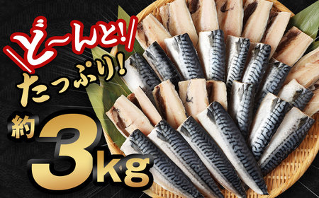 【訳あり規格外】 業務用 無添加 塩さば どーんと! 3kg 鯖 さば 塩サバ 干物 魚