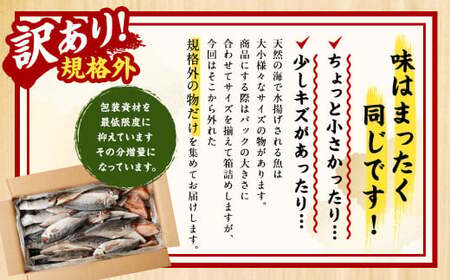 【訳あり規格外】  業務用 干物 詰め合わせ どーんと！ 1.7kg 3種 セット さば サバ 鯖 縞ほっけ ほっけ ホッケ あじ アジ 鯵 魚