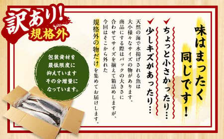 【訳あり規格外】 業務用 無添加 さば文化干し 1kg 鯖 さば 干物 魚