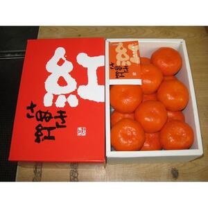 小原紅早生 ハウスみかん 約1.2kg ( 10～18玉 )｜みかん