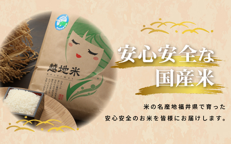 米 越地（こいち）産 特別栽培 コシヒカリ 令和5年産 6kg × 1袋[m24-a001]