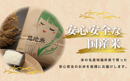米 越地（こいち）産 コシヒカリ（普通栽培）令和5年産  計10kg（5kg × 2袋）[m24-a002]