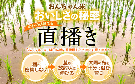 【先行予約】【令和7年産・新米】コシヒカリ（玄米）エコ栽培米 30kg（30kg×1袋）【2025年9月中旬以降順次発送予定】【福井県産 お米 ブランド米 玄米 精米 ご飯 おにぎり お弁当 和食】 [m26-d002]