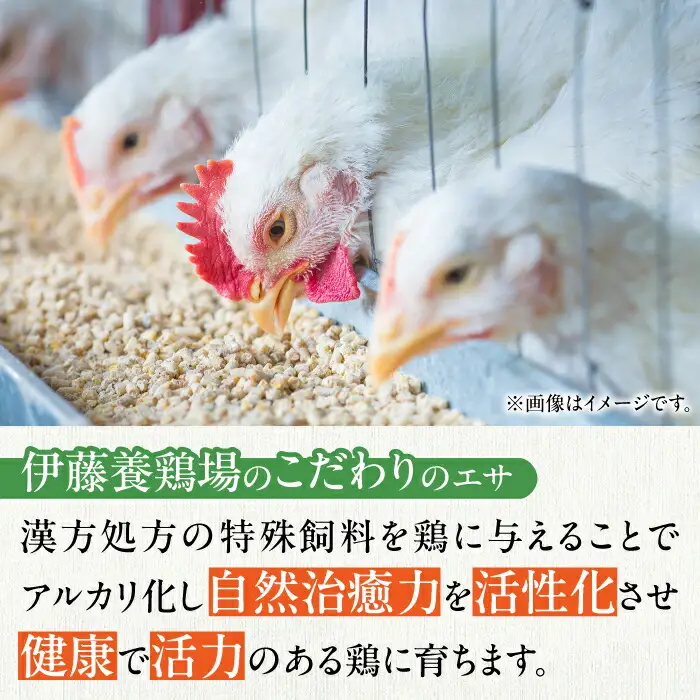 【12回定期便】きみ恋し 箱入り 60個（55個+割れ保証5個）×12ヶ月　総計720個  [AFAJ011]
