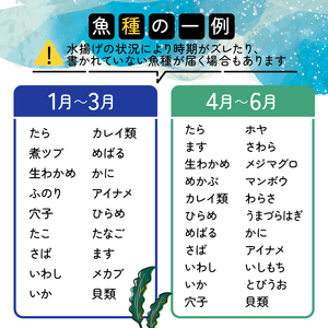 【産地直送】 三陸の旨い魚！季節の鮮魚便 2kg?3kg 《下処理あり》 おまかせ さかな おさかな 魚 鮮魚 新鮮 生魚 焼き魚 FISH ごはん 夕飯 おかず おつまみ 晩酌 米 丼 海産物 海鮮 魚介 魚介類 大船渡 三陸 岩手県 国産