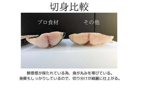プロ食材 サバフィーレ 5kg 無塩 無塩鯖 さば サバ 鯖フィーレ 焼魚 煮魚 揚げ 料理 さかな
