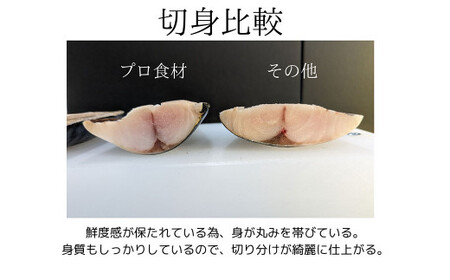 プロ食材 サバフィーレ 3kg 無塩 無塩鯖 さば サバ 鯖フィーレ 焼魚 煮魚 揚げ 料理 さかな