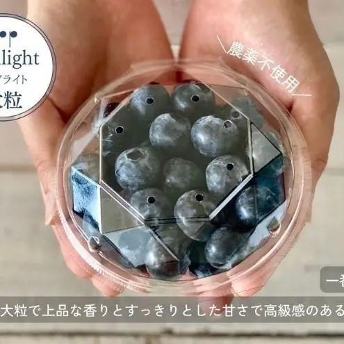 ブルーベリー フレッシュ トワイライト大粒 朝摘み ブルーベリー【100g×4】【先行予約】