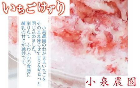 小泉農園ジェラートとイチゴ削り　8個セット 【kw0221-0001】