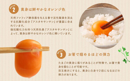 【定期便：12か月】【食べチョクアワード2025 畜産部門 1位の日本一のたまご】単なる平飼いではない究極の卵『わたしたちのぷらいどたまご』3パック（30個）セット