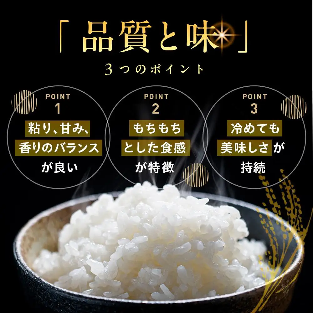 地元産 両郷米 10Kg ×1袋 ｜  お米 コシヒカリ こしひかり 栃木県 大田原市