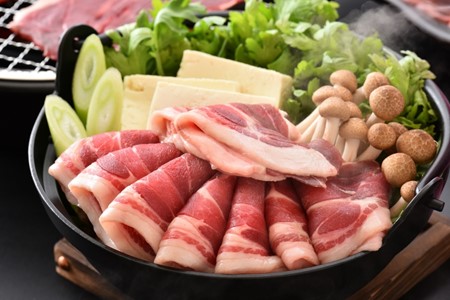 [ND002] のとしし（イノシシ）肉スライス 500ｇ