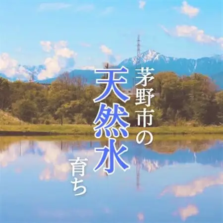 霧ヶ峰の水が育んだお米(レンジアップごはん)10個_惣菜・加工品 レトルト      米 こめ コメ_【1492421】