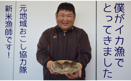 【先行予約】【2027年3月下旬以降順次発送】築上町で捕れた コウイカ 約2kg (5-10杯) [ABCB007] イカ いか 刺身 烏賊 