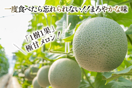【先行予約】AA048 メロン マスクメロン 2玉入