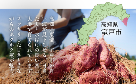 さつまいも 人気 西山きんとき芋 サツマイモ 訳あり 5kg