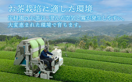 【あっさりとした有機栽培茶】さざの有機栽培茶 芽吹き 100g×3本セット【宝緑園】[QAH006]  お茶 茶葉 長崎