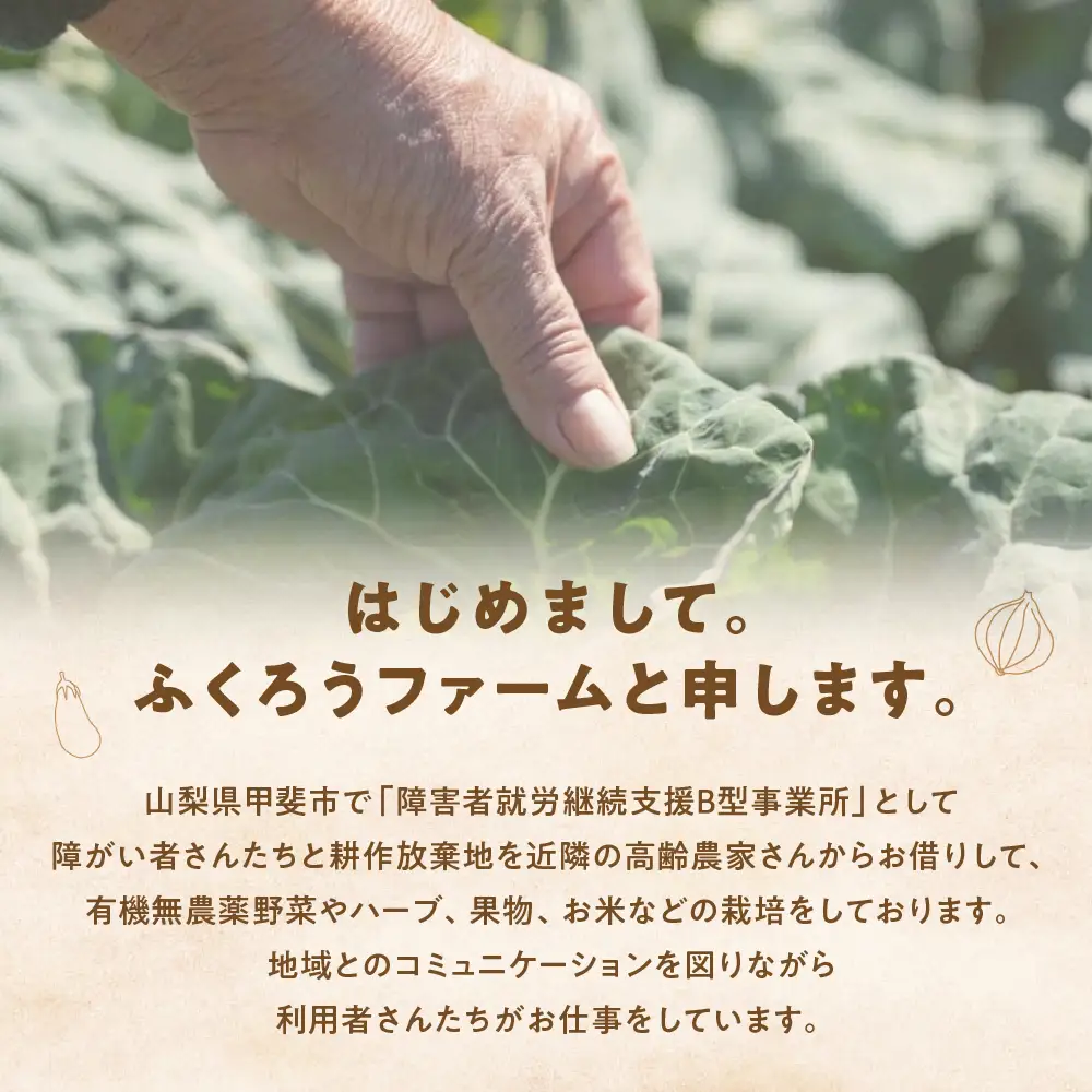 【定期便・年4回】旬のお野菜を少しずつたくさん！甲斐路の彩りお野菜セット