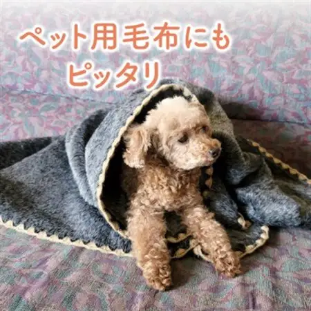 フェイクファー ブランケット 黒 ペット用毛布_ ペット用品    雑貨・日用品 毛布 寝具   雑貨・日用品  寝具 _【1321641】