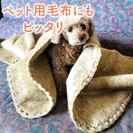 フェイクファー ブランケット ベージュ ペット用毛布_ ペット用品    雑貨・日用品 毛布 寝具   雑貨・日用品  寝具 _【1321647】