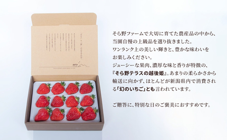 いちご 越後姫 SOLANO SPECIALITE【2027年2月下旬～5月末お届け】9～15粒 苺 イチゴ 果物類 果物 フルーツ 新潟市