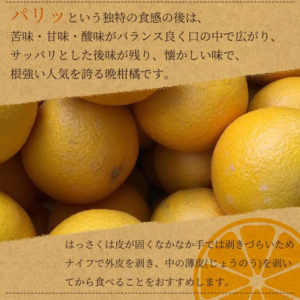 八朔（はっさく）約10kg　紀州和歌山 かつらぎ産［2027年2月上旬頃から2027年2月下旬頃に順次発送］［UT19］