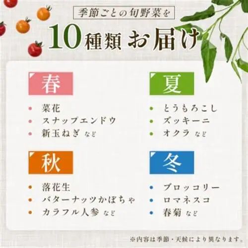 【毎月定期便】【中旬発送】こだわりの旬野菜BOX「リエビン」季節の野菜セット全6回【配送不可地域：離島・沖縄県】【4012343】