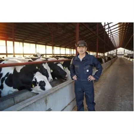 豊西牛カイノミチルドブロック　1kg_肉  牛肉 _【配送不可地域：離島】【1493736】