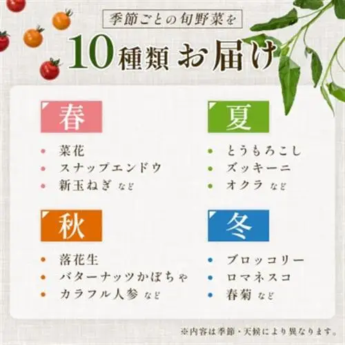 【毎月定期便】【上旬発送】こだわりの旬野菜BOX「リエビン」季節の野菜セット全12回【配送不可地域：離島・沖縄県】【4012345】
