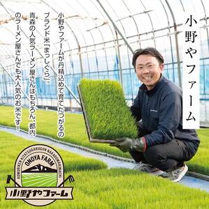 令和5年産 小野やファームのお米 「まっしぐら」 15kg（5kg×3袋） 【小野や】 F6N-091