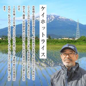 ≪新米≫ 令和6年産 津軽産米 「つがるロマン」＆「 まっしぐら」 各5kg（精米 全10kg） 【ケイホットライス】 F6N-116