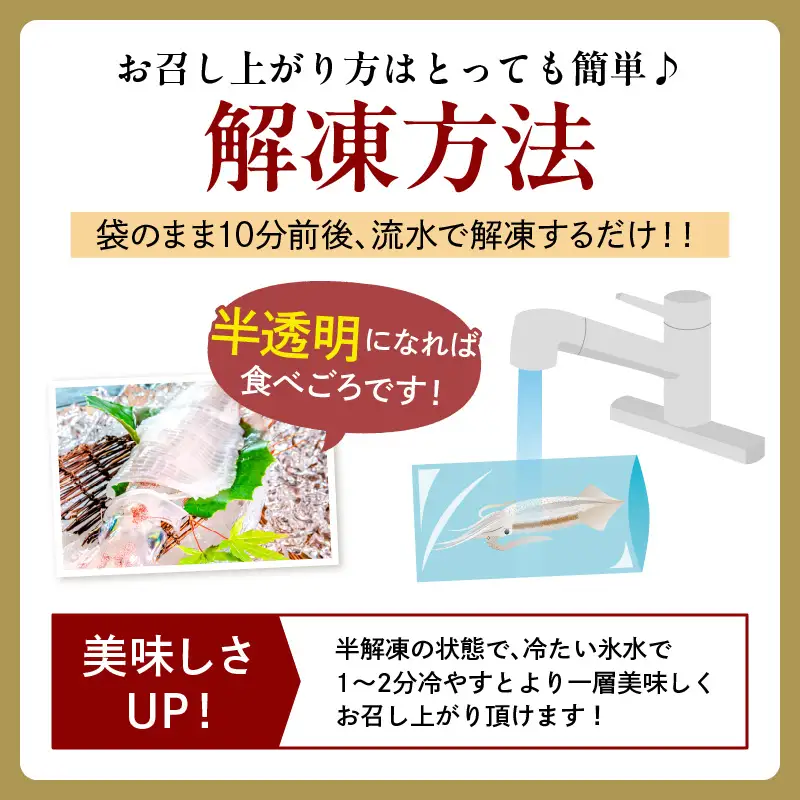日本海産『海の京都』の逸品！！　活白イカ姿造り（クリスタル白いか）大サイズ 2杯（300g前後）（2027年6月上旬～発送） ふるさと納税 海鮮 鮮度抜群 新鮮 海鮮 いか イカ 簡単調理 生産者応援 送料無料 生食 魚介類 活イカ 日本海産 刺身 BBQ 美味 逸品