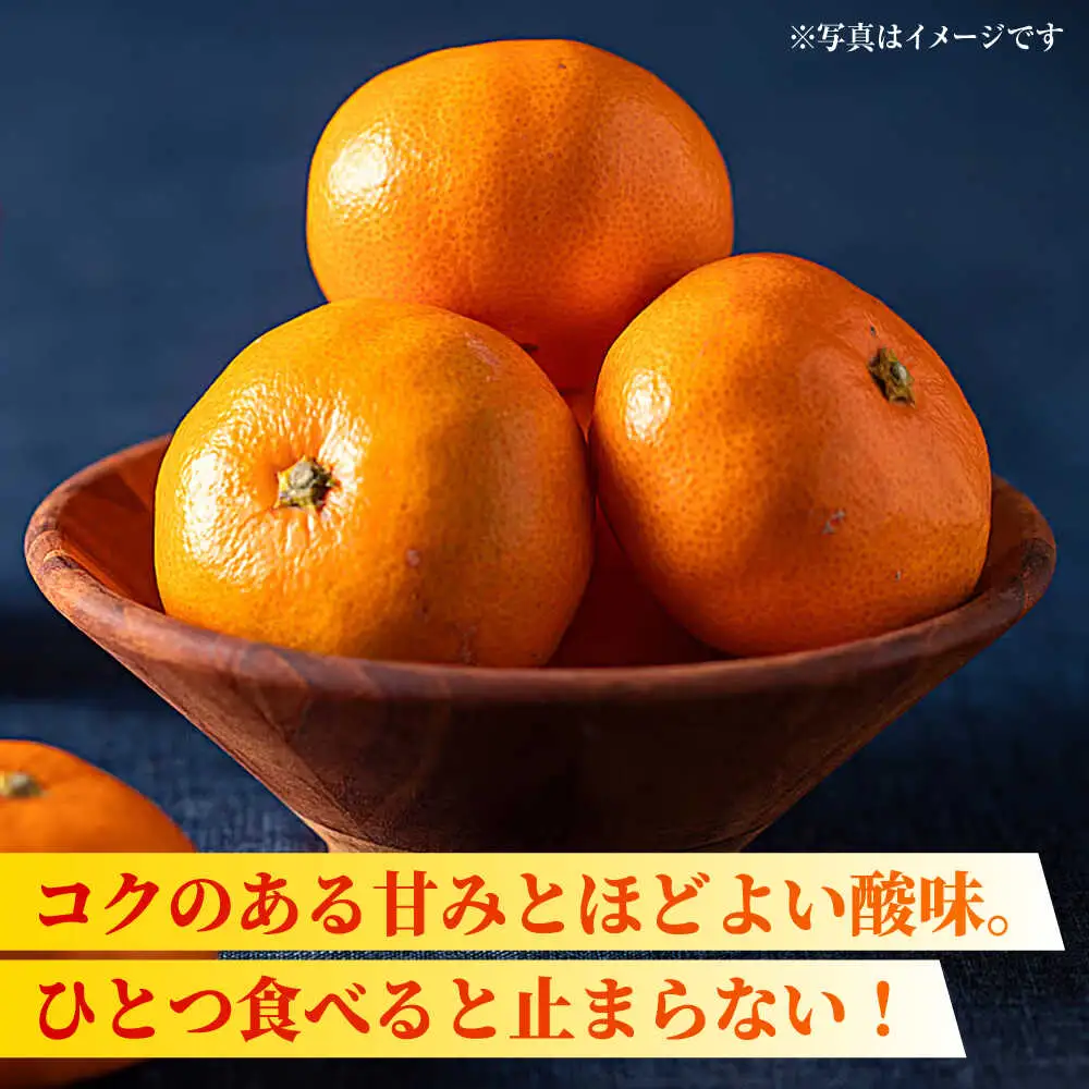 【先行予約】【2回定期便】【訳あり】家庭用 みかん 約5kg 詰め合わせ 柑橘【合同会社 社方園】[ZBZ034]