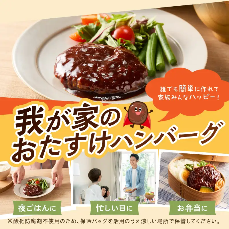 鉄板焼ハンバーグ デミソース 10個【A-848】