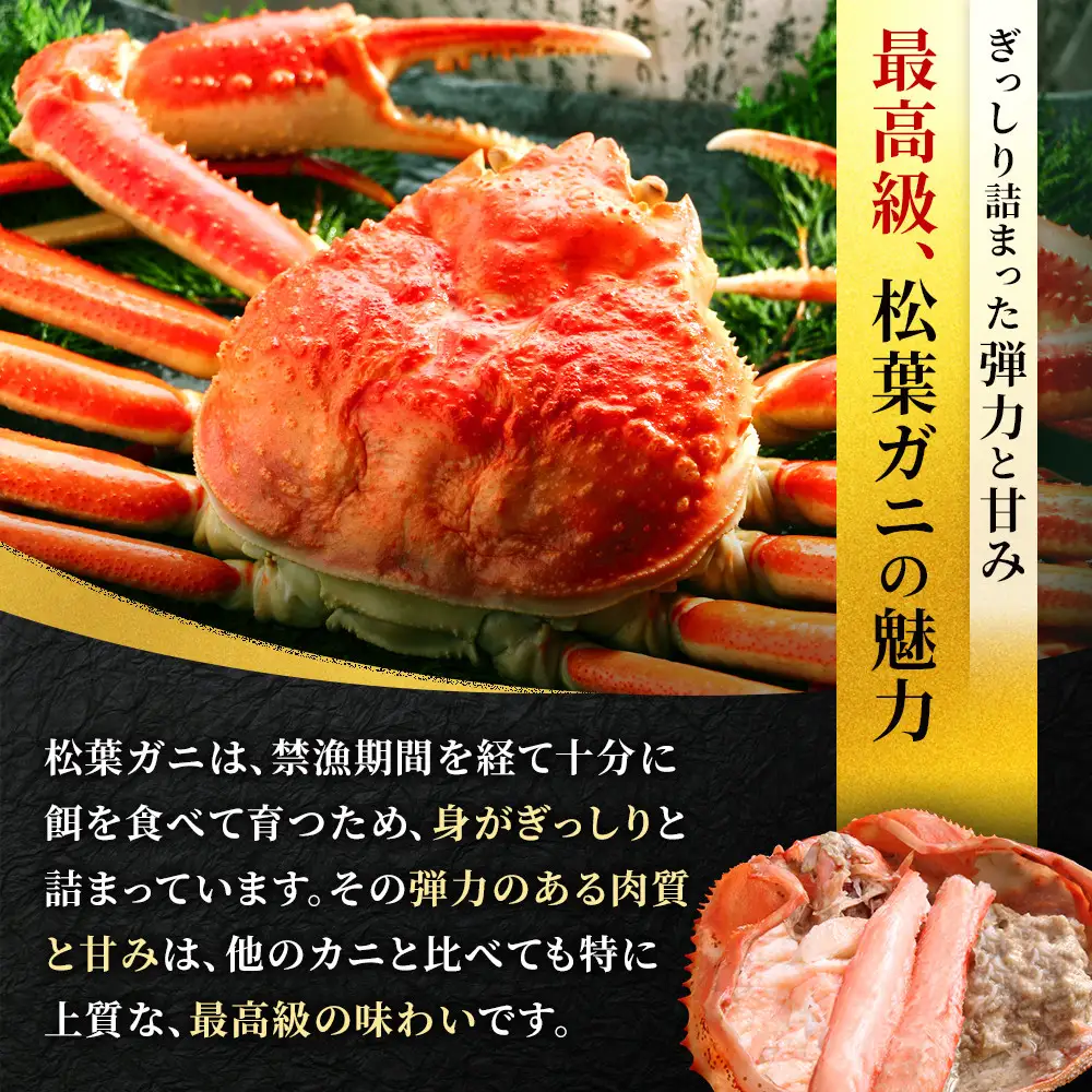 松葉ガニ 先行予約 訳あり 生 1枚 約500g 年明け配送 松葉ガニ