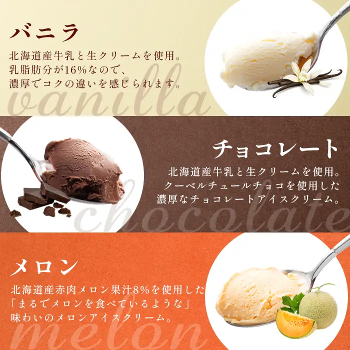 【Secoma】北海道アイスクリーム6個セット 3種×各2個（バニラ・メロン・チョコ） アイス  ふるさと納税 北海道 アイス 食べ比べ セット オンライン申請 オンライン バニラ メロン チョコ アイス 羽幌町 羽幌【01106】