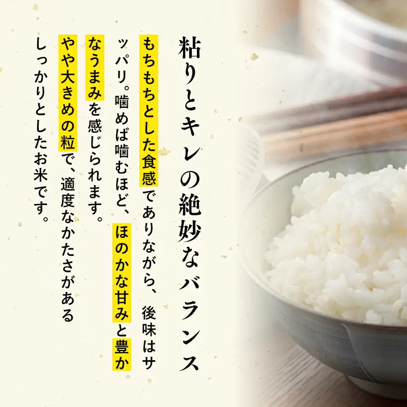 青天の霹靂白米 5kg 特A米 特A 青森県産[hi-0002-001]