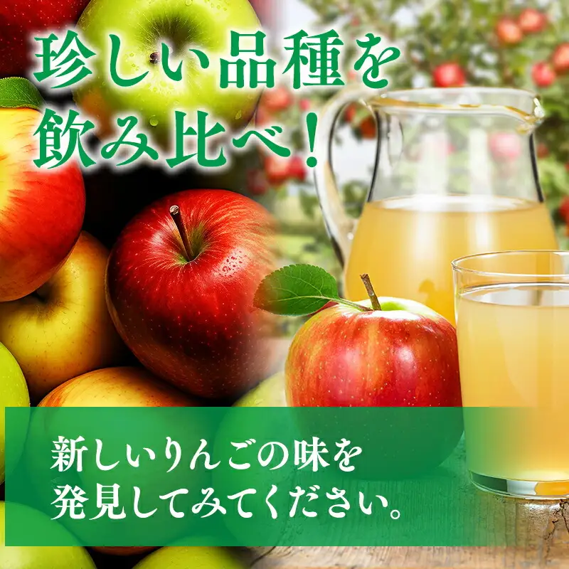 青森県産りんごジュース 1L×3本 那由多のりんご園[hi-0005-001]
