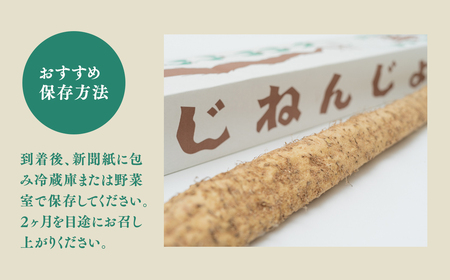 青森県 碇ヶ関産 自然薯 1本[hi-0015-003]